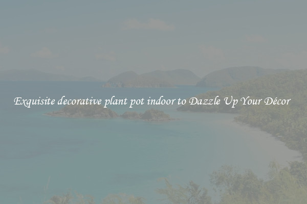Exquisite decorative plant pot indoor to Dazzle Up Your Décor  
