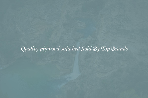 Quality plywood sofa bed Sold By Top Brands