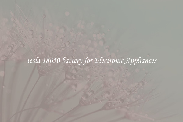 tesla 18650 battery for Electronic Appliances