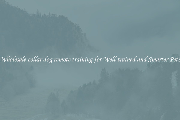 Wholesale collar dog remote training for Well-trained and Smarter Pets