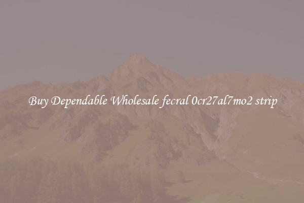 Buy Dependable Wholesale fecral 0cr27al7mo2 strip