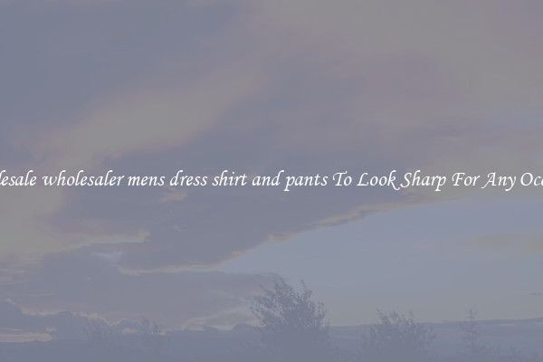 Wholesale wholesaler mens dress shirt and pants To Look Sharp For Any Occasion