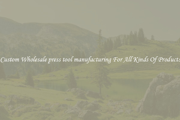 Custom Wholesale press tool manufacturing For All Kinds Of Products