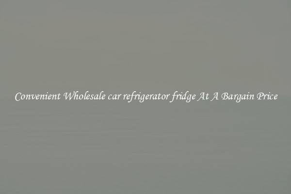 Convenient Wholesale car refrigerator fridge At A Bargain Price