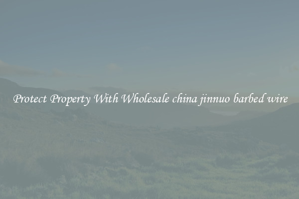 Protect Property With Wholesale china jinnuo barbed wire