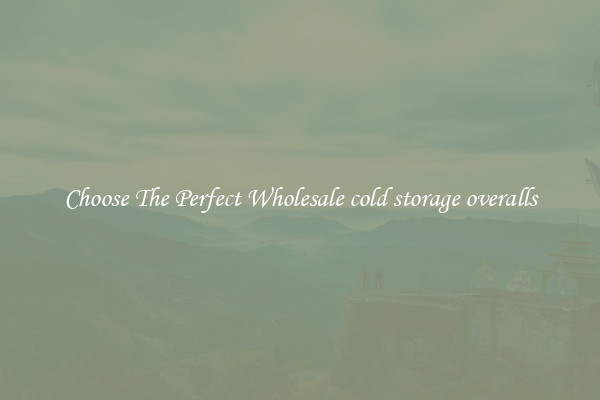 Choose The Perfect Wholesale cold storage overalls