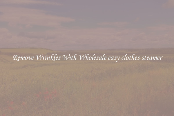 Remove Wrinkles With Wholesale easy clothes steamer