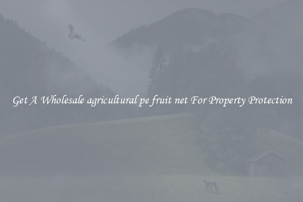 Get A Wholesale agricultural pe fruit net For Property Protection