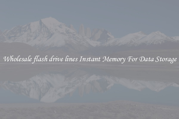 Wholesale flash drive lines Instant Memory For Data Storage