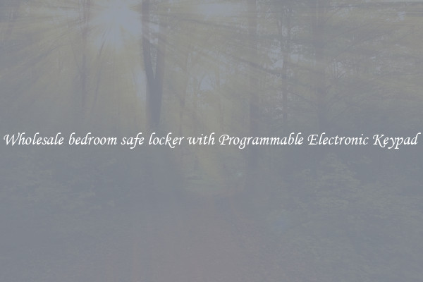 Wholesale bedroom safe locker with Programmable Electronic Keypad 