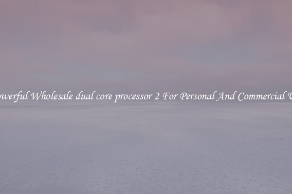 Powerful Wholesale dual core processor 2 For Personal And Commercial Use