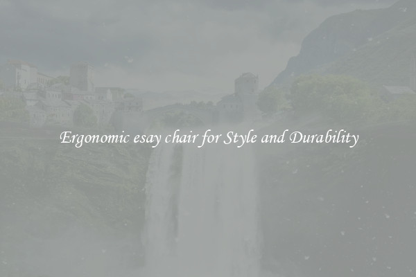 Ergonomic esay chair for Style and Durability