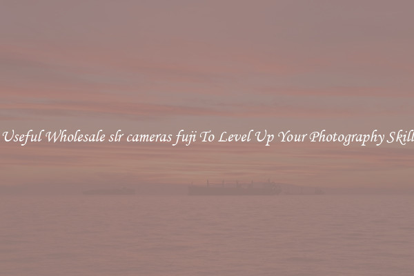 Useful Wholesale slr cameras fuji To Level Up Your Photography Skill