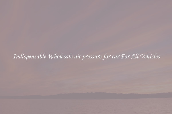 Indispensable Wholesale air pressure for car For All Vehicles