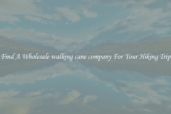 Find A Wholesale walking cane company For Your Hiking Trip