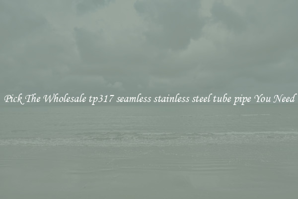 Pick The Wholesale tp317 seamless stainless steel tube pipe You Need