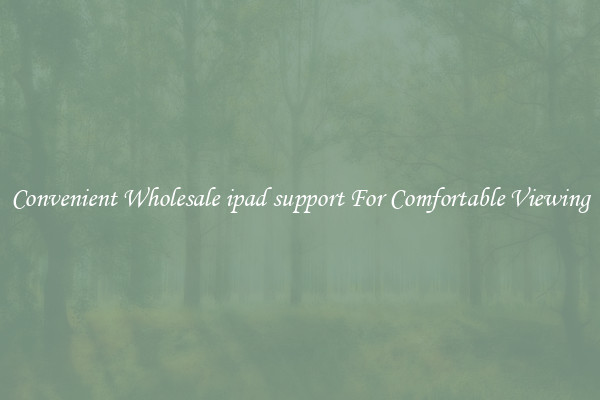 Convenient Wholesale ipad support For Comfortable Viewing