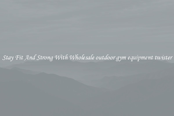 Stay Fit And Strong With Wholesale outdoor gym equipment twister
