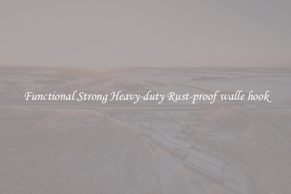 Functional Strong Heavy-duty Rust-proof walle hook