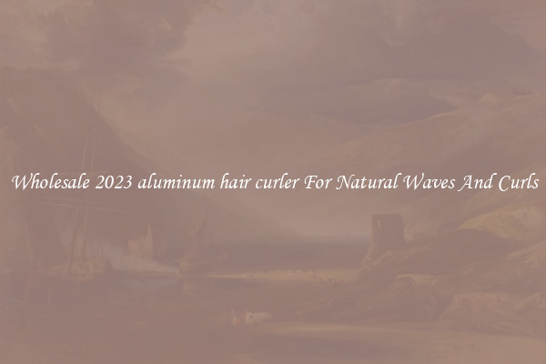 Wholesale 2023 aluminum hair curler For Natural Waves And Curls