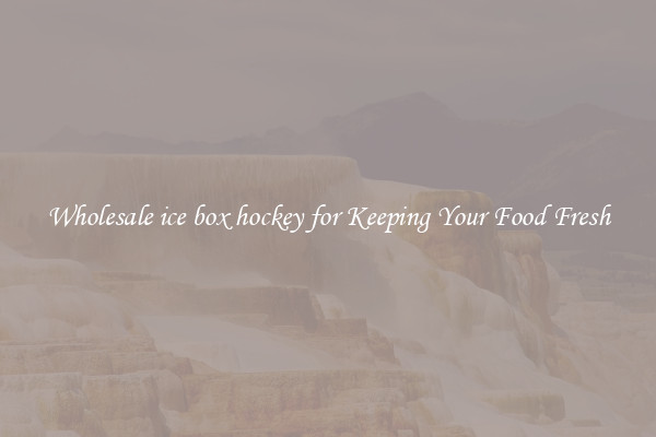 Wholesale ice box hockey for Keeping Your Food Fresh