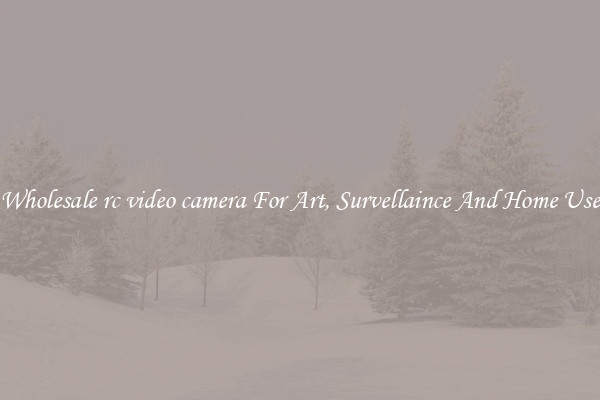 Wholesale rc video camera For Art, Survellaince And Home Use