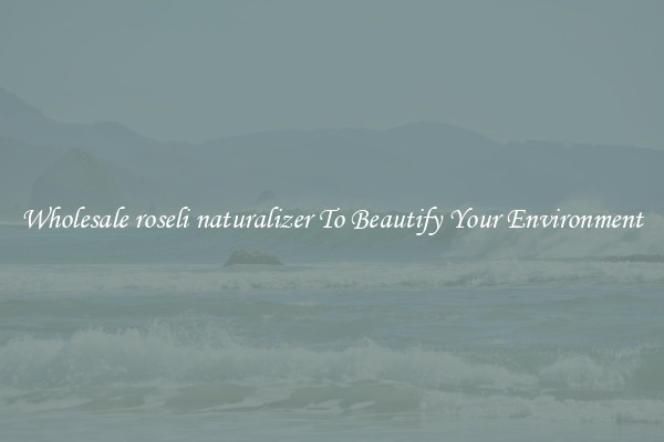 Wholesale roseli naturalizer To Beautify Your Environment