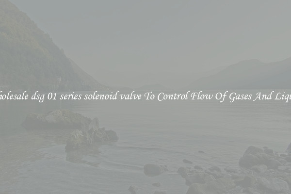 Wholesale dsg 01 series solenoid valve To Control Flow Of Gases And Liquids