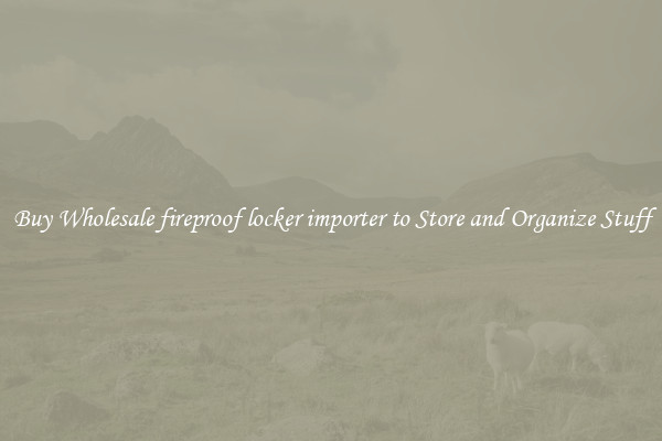 Buy Wholesale fireproof locker importer to Store and Organize Stuff